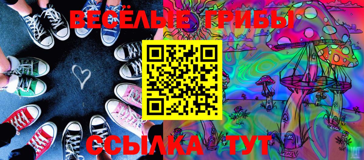 Псилоцибиновые грибы Magic Shrooms Новошахтинск