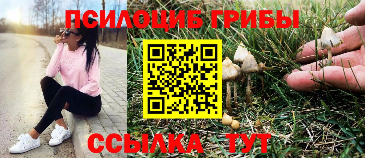 Галлюциногенные грибы ЛСД  Вход с VPN  Новошахтинск 